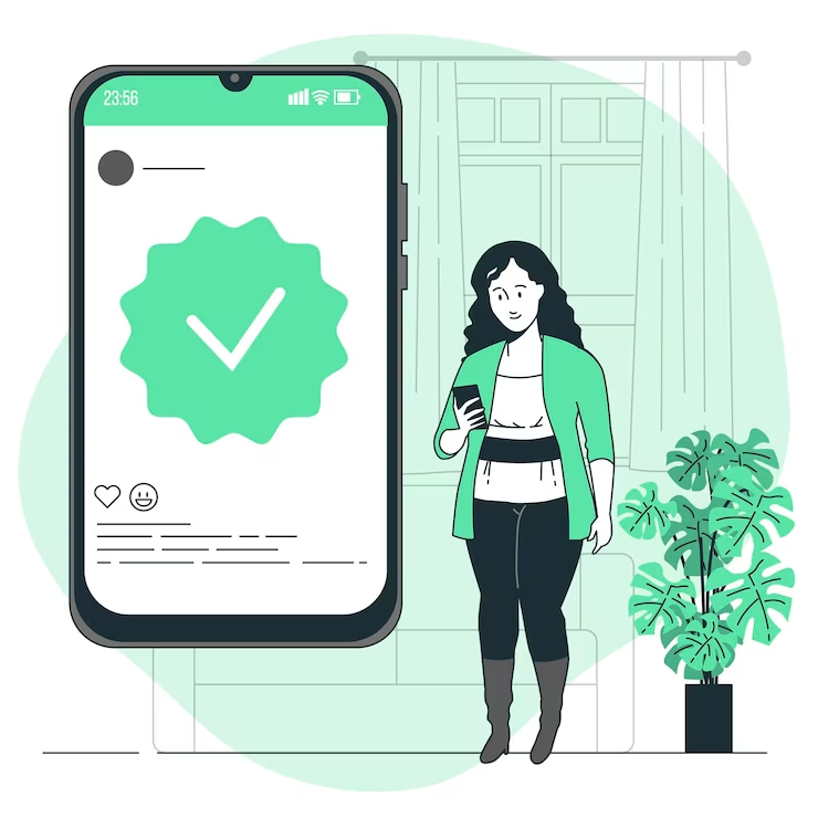 Illustration of Verified Security Check